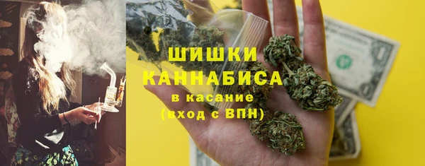 стаф Аркадак