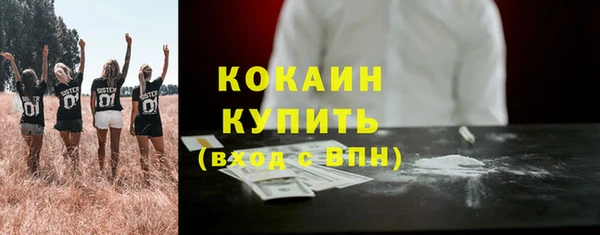 стаф Аркадак
